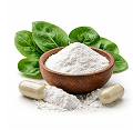 Stevia Leaf Extract Ingredient